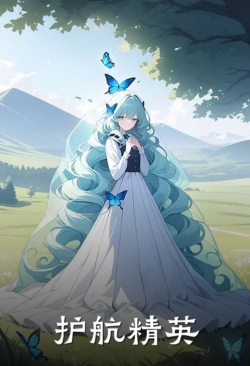 护航精英