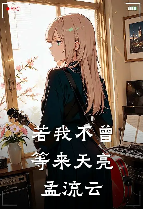 若我不曾等来天亮孟流云