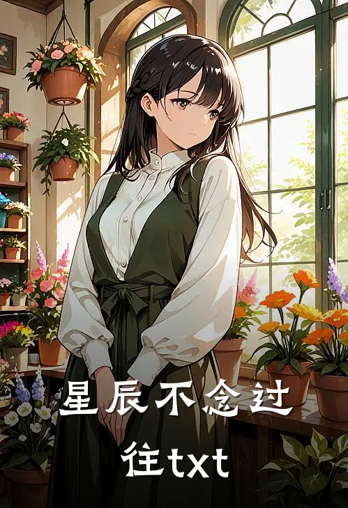 星辰不念过往txt