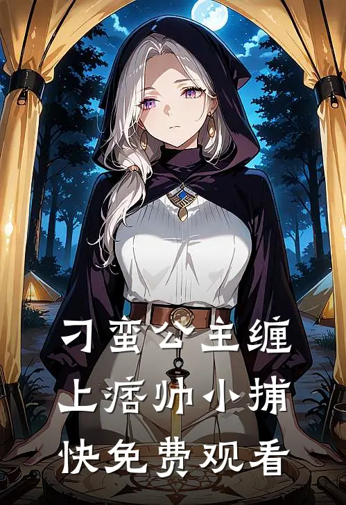 刁蛮公主缠上痞帅小捕快免费观看