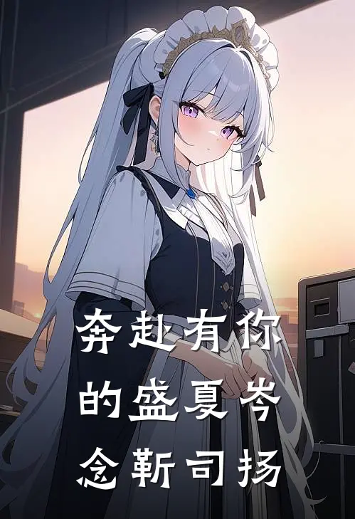 奔赴有你的盛夏岑念靳司扬