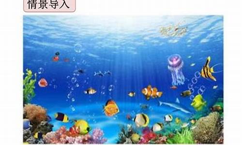 海底世界教学设计(海底世界教学设计与评课)(图1)