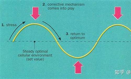 内稳态(内稳态的作用)(图1)