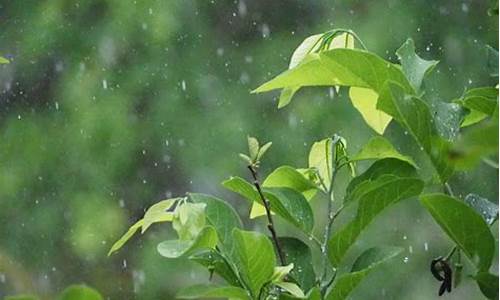 浙江梅雨季节是几月份(浙江梅雨季节是几月份的)(图1)